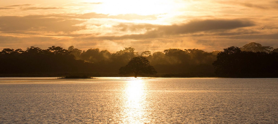 The place of Tarpon Dreams in the heart of Costa Rica
